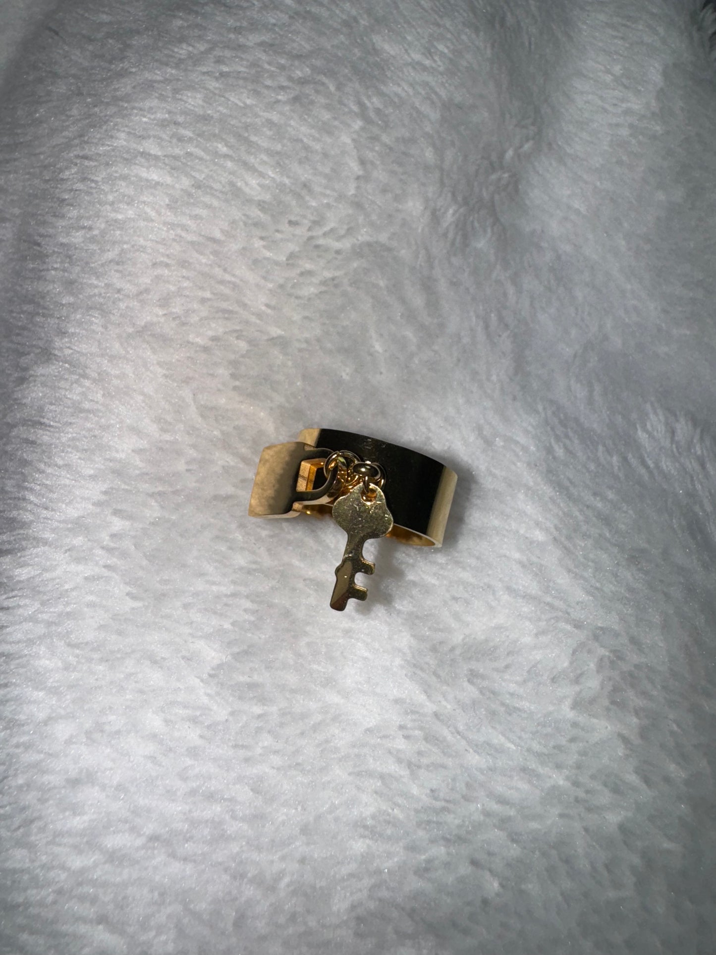 "Locked" ring